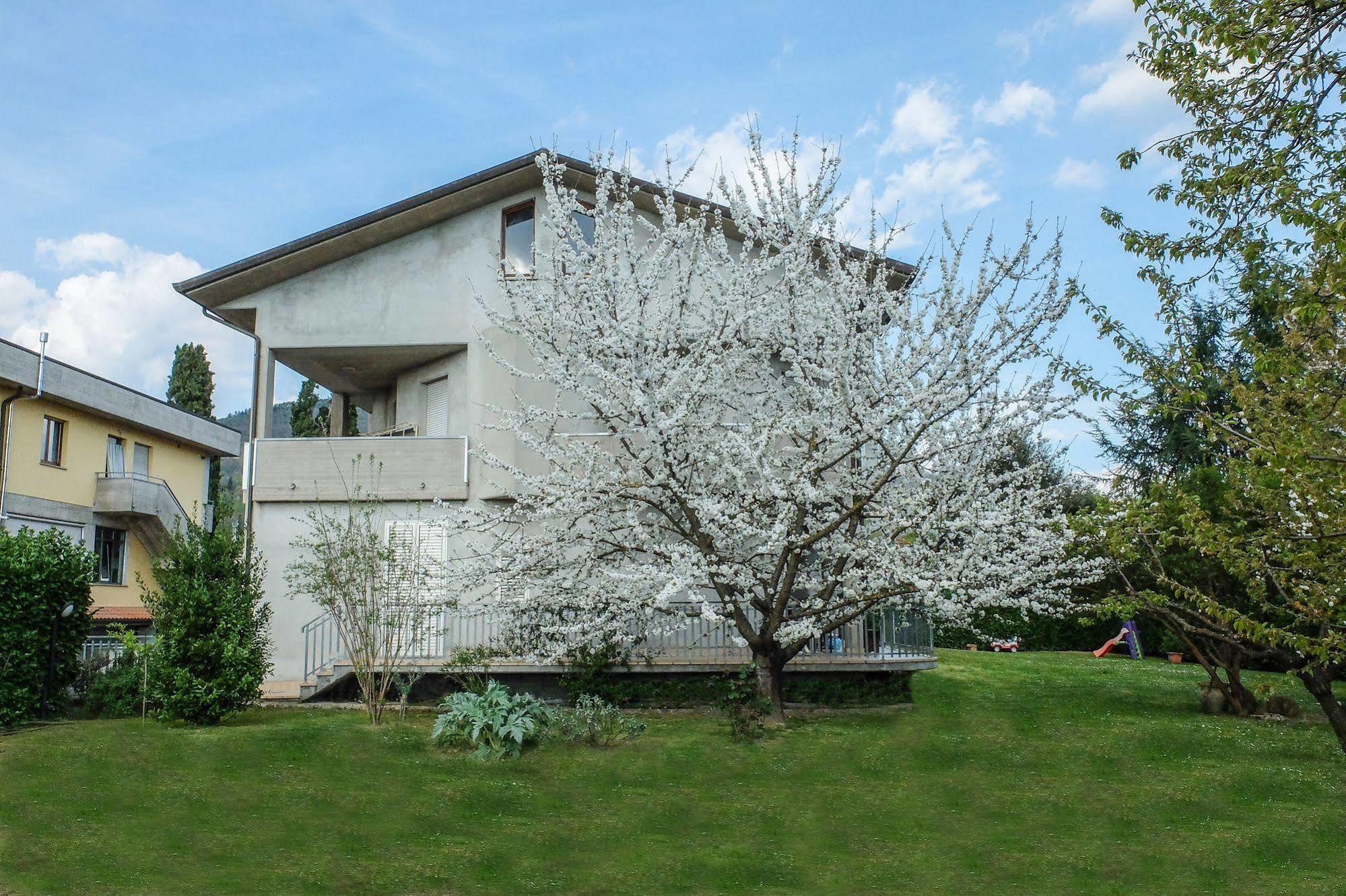 B&B I Fiori San Giustino Exteriör bild